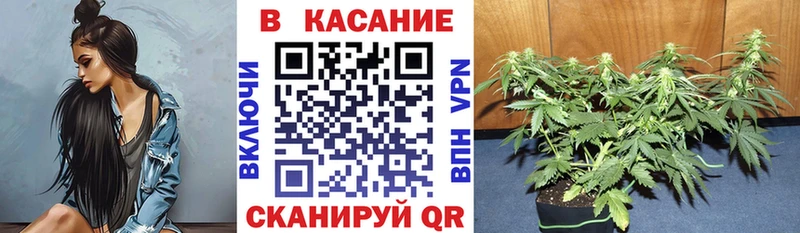 Виды наркотиков купить Саянск Канабис  Кокаин  Гашиш  Alpha PVP  Меф мяу мяу 