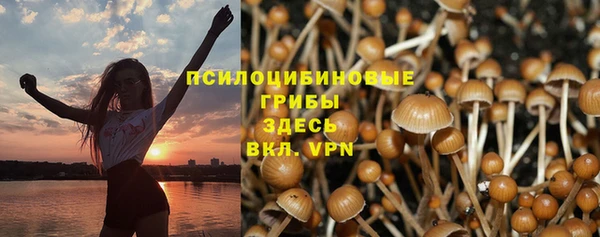 экстази Арсеньев